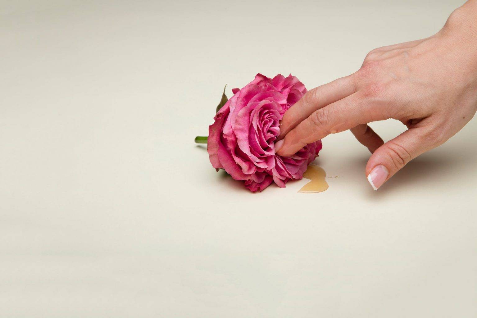 a person holding a flower